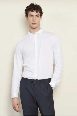 Сорочка чоловіча NeoBlu Balthazar колір білий 03198605